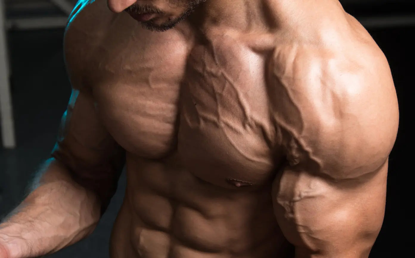 Creatine Monohydrate: The Forgotten Key to Male Dominance